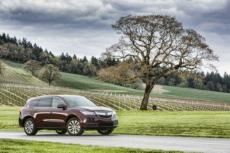 Auto Show de Nueva York 2013: Acura MDX 2014