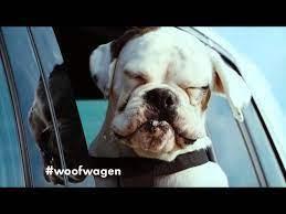 Un raza de perro para cada modelo de Volkswagen