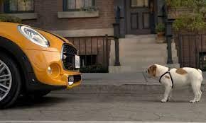 Cuando Spike se encuentra con el nuevo MIINI