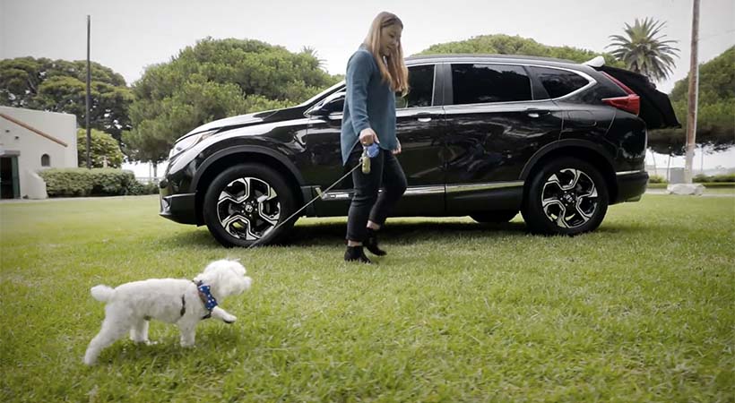 Semana Nacional del Perro con 6 modelos Honda