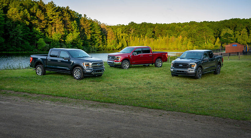Ford ofrece diferentes versiones F-150 2021 para complacer a todos los gustos y necesidades. Foto: Ford.
