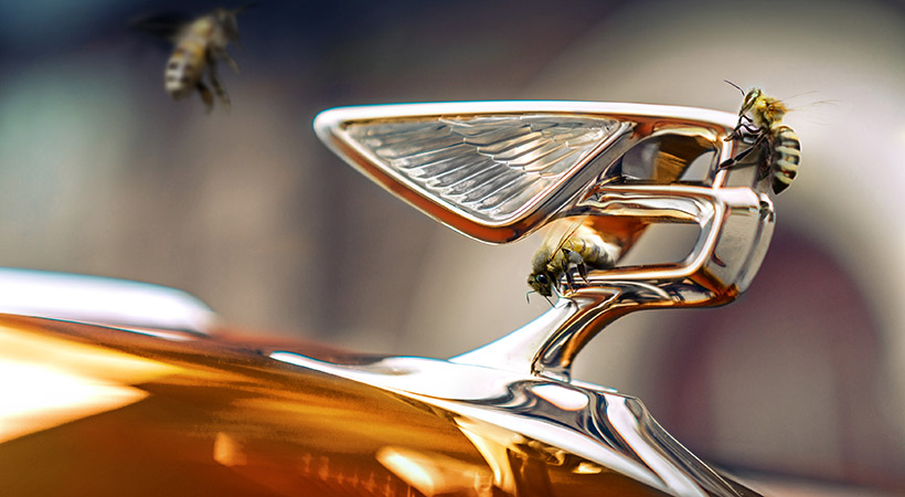 Bentley Beyond 100