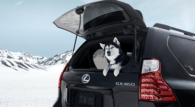 Lexus GX 460 Black Line Special Edition 2022 conserva las mismas características del modelo del cual toma su base. Foto: Lexus