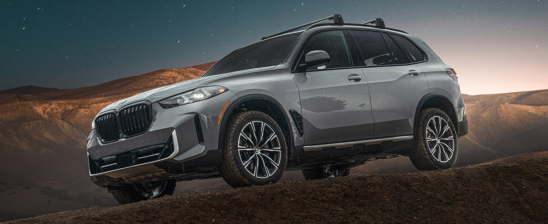 BMW X5 Silver Anniversary Edition