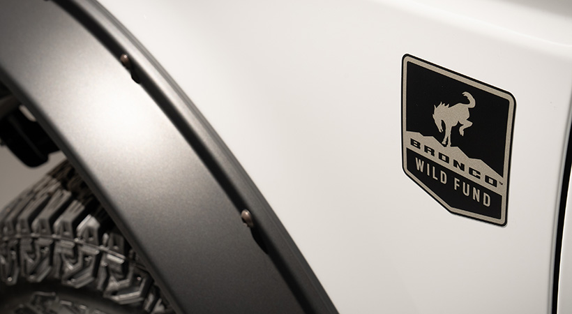 La carrocería incluye emblemas específicos de esta versión. Foto: Ford