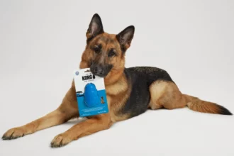Volkswagen lanza juguete para perros con Kong inspirado en el ID. Buzz